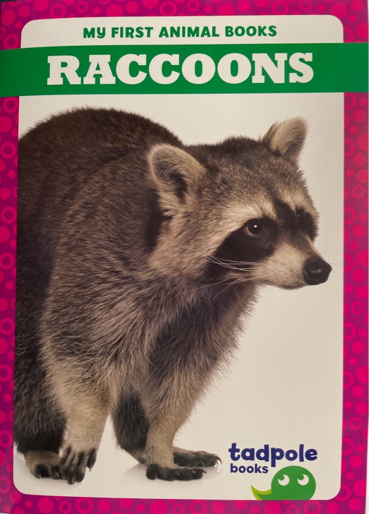 Raccoons