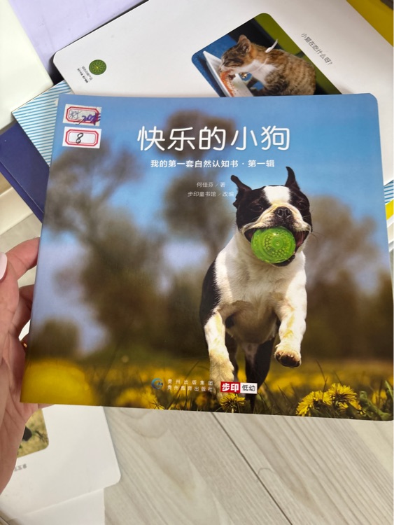 快樂的小狗