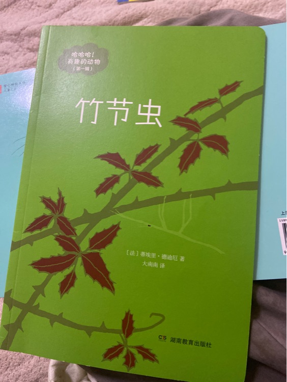 竹節(jié)蟲 哈哈哈有趣的動物