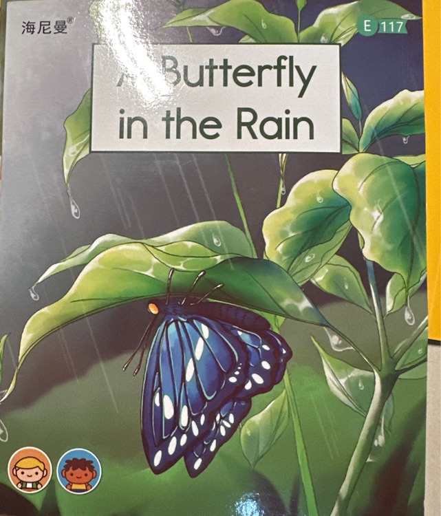 A butterfly in the rain