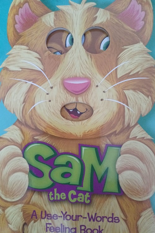 Sam the cat