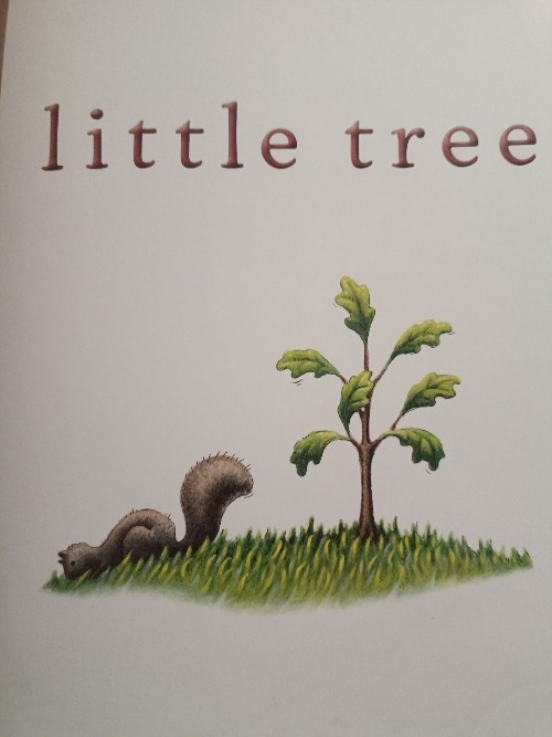 Little tree