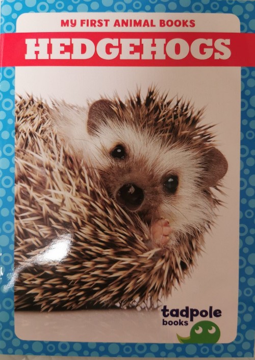 hedgehogs