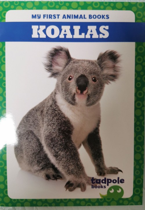 Koalas