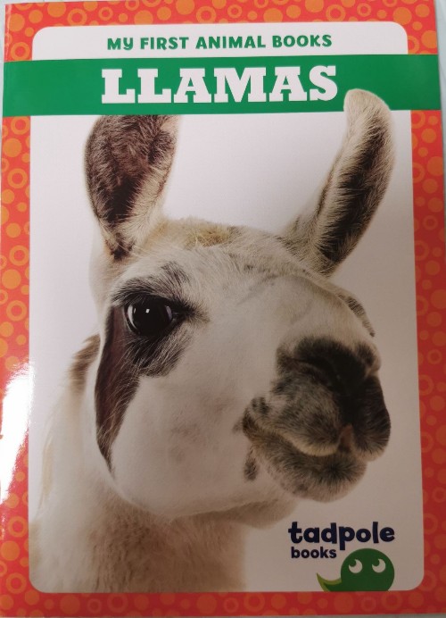 Llamas