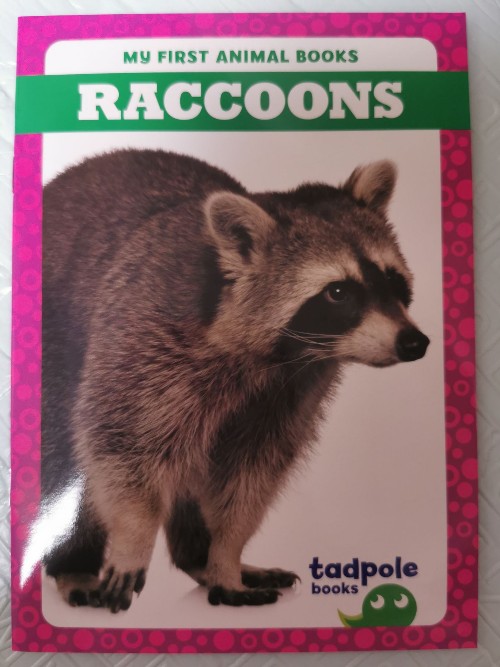 Raccoons