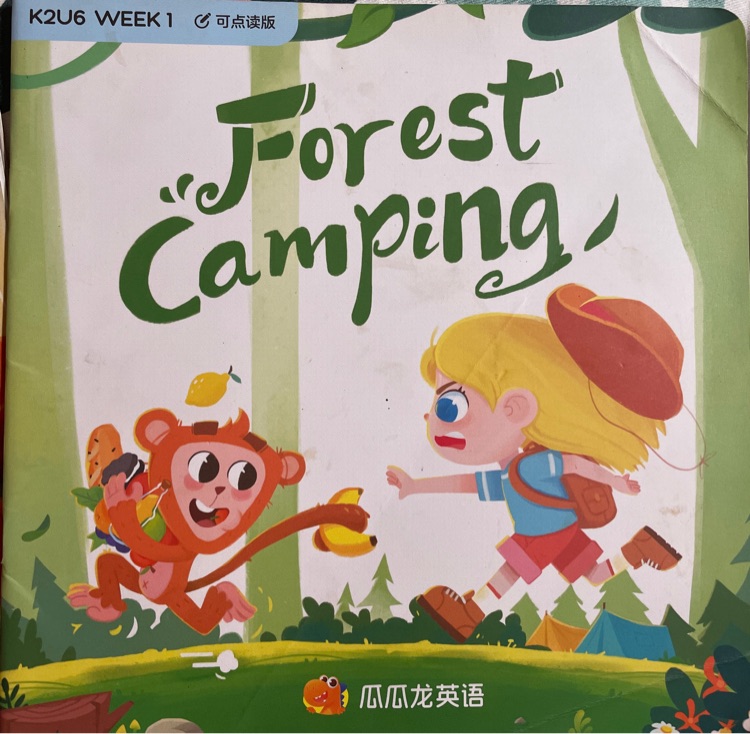 Forest camping