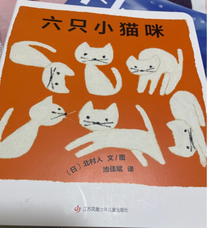 六只小貓咪