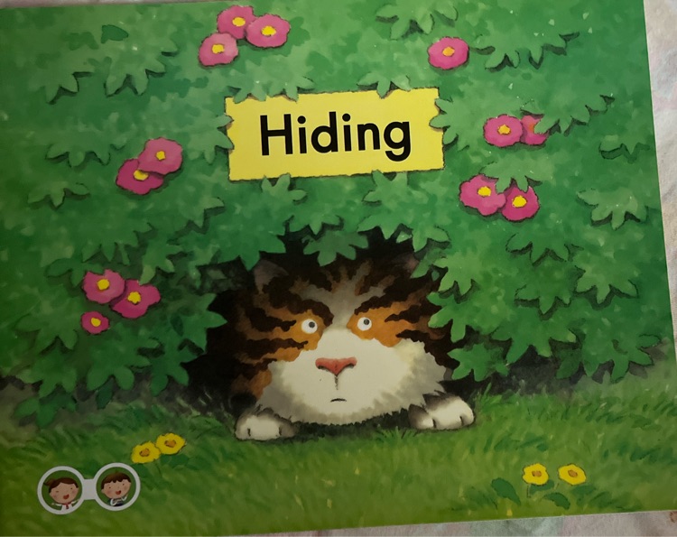 Hidding