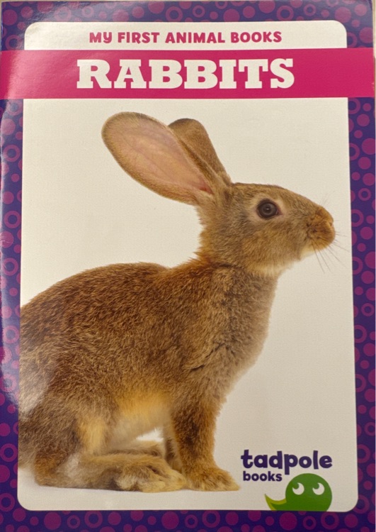 Tadpole books-RABBITS