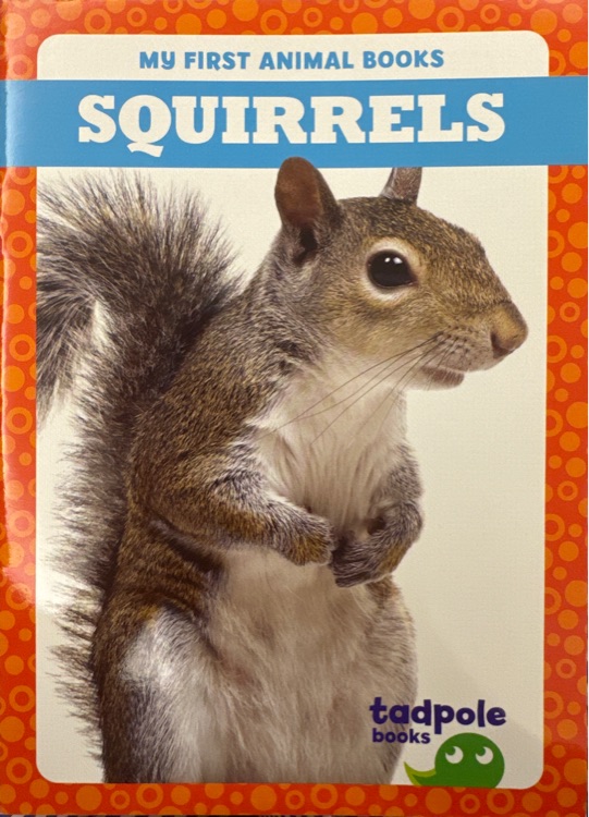 Tadpole books-SQUIRRELS