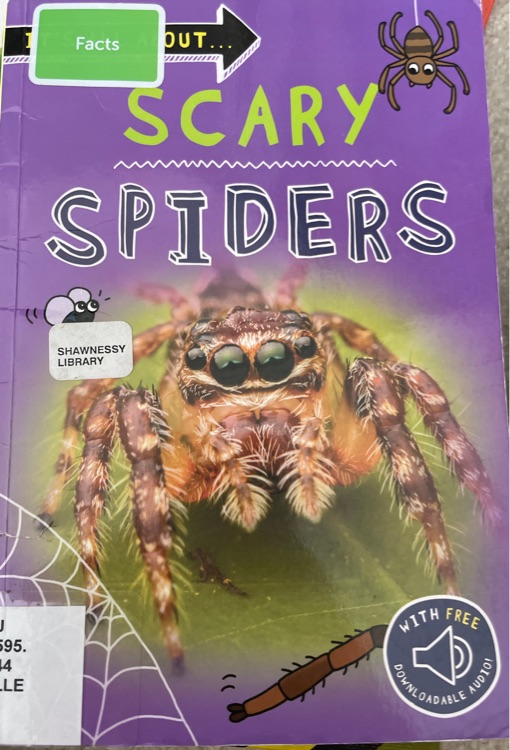 scary spiders