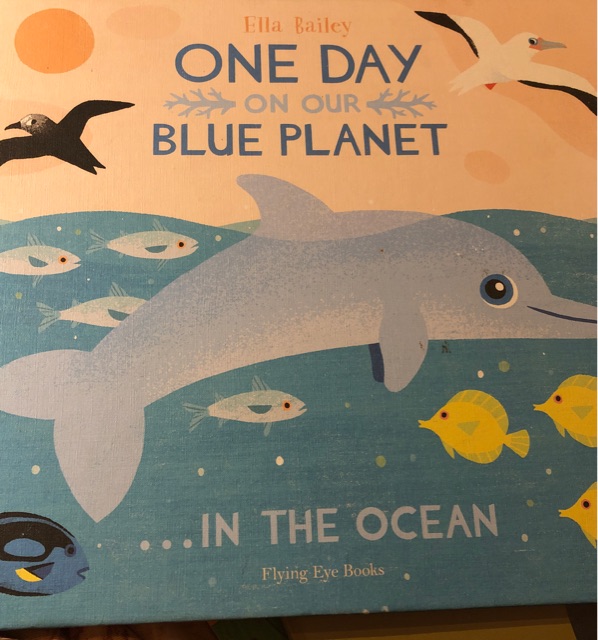 One day on our blue planet in the ocean