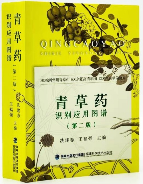 青草藥識別應用圖譜