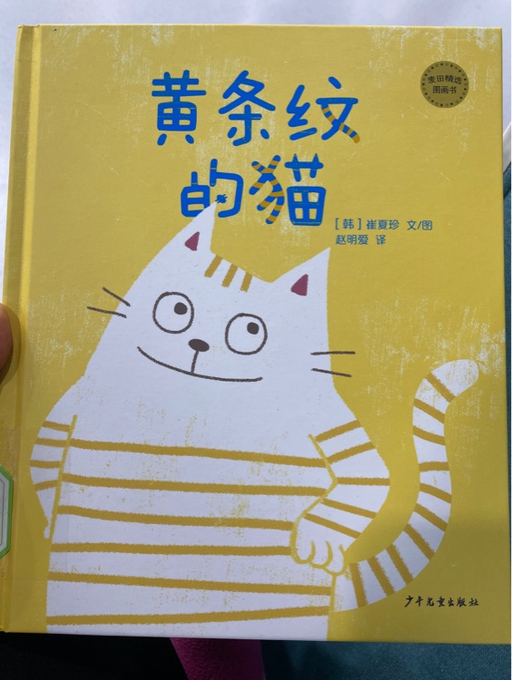 黃條紋的貓