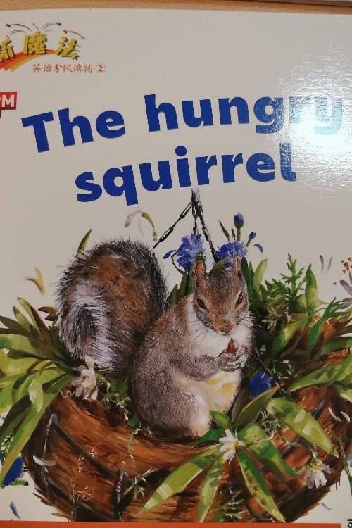 the hungry squirrel