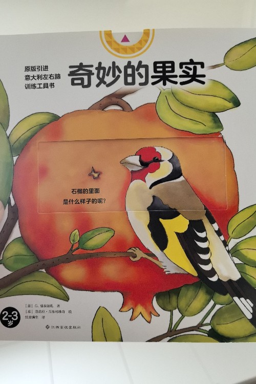 奇妙的果實