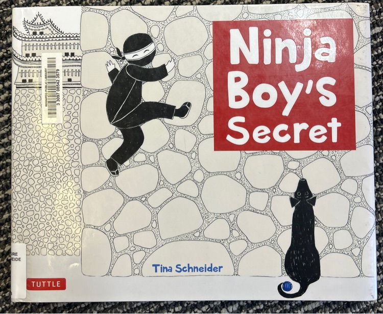 Ninja Boy's Secret