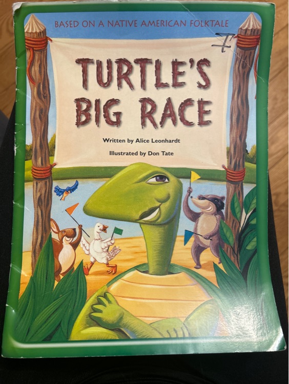 Turtle's big race