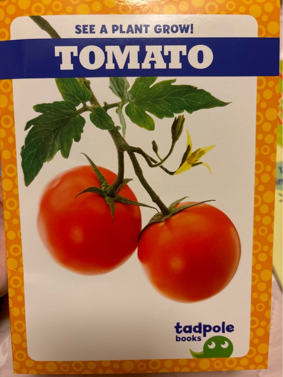 tadpole tomato