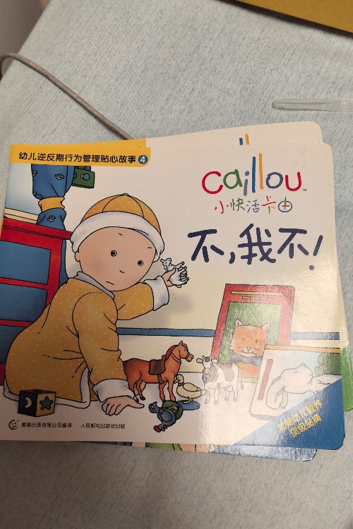 不, 我不