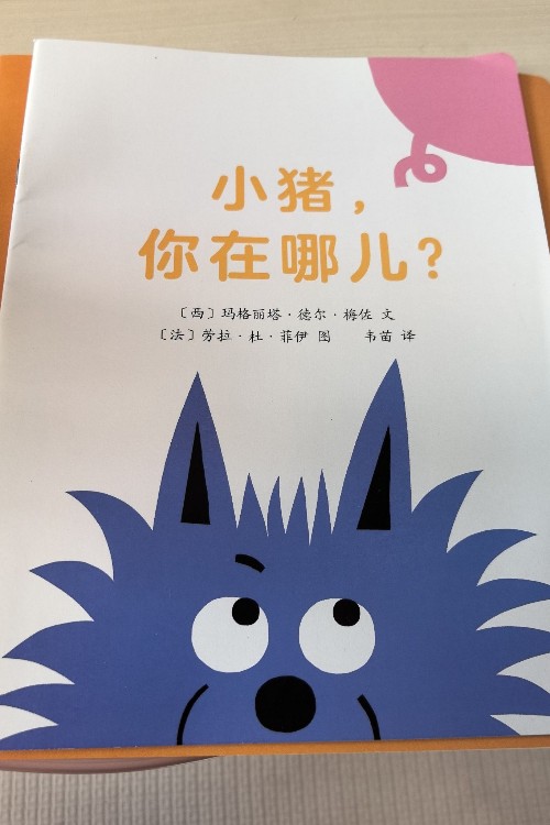 小豬你在哪兒