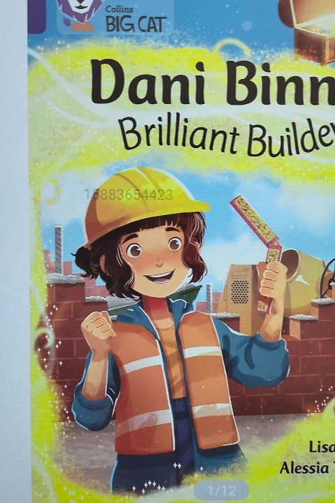 Dani Binns brilliant builder