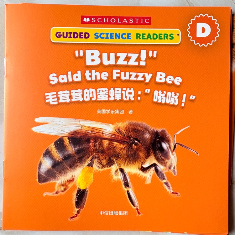 學(xué)樂(lè)小讀者英語(yǔ)分級(jí)閱讀: 科普系列D級(jí) buzz said the fuzzy bee