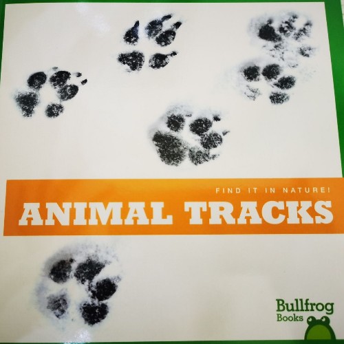 animal Tracks
