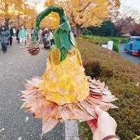 我是菠萝🌽