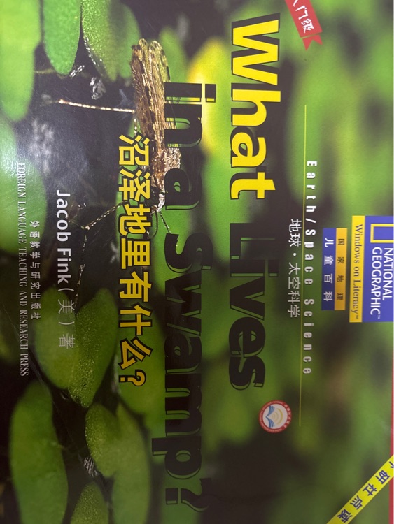 What lives in a swamp