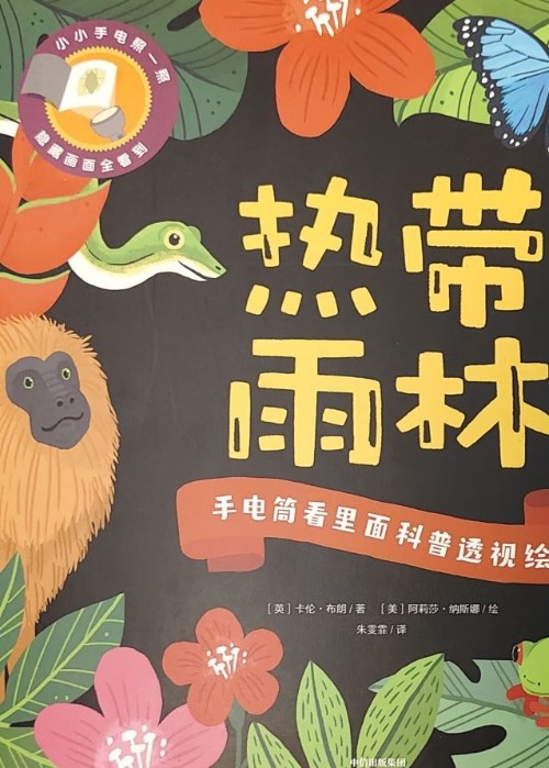熱帶雨林
