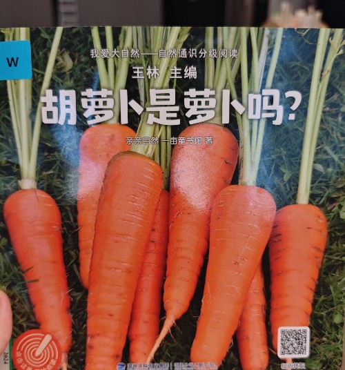 胡蘿卜是蘿卜嗎
