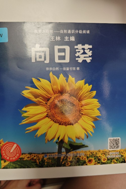 向日葵