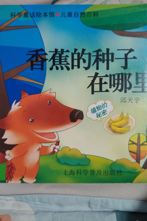 香蕉的種子在哪里