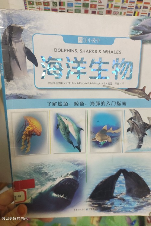 海洋生物