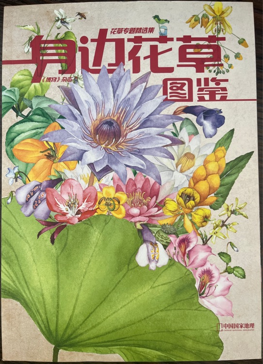 身邊花草圖鑒