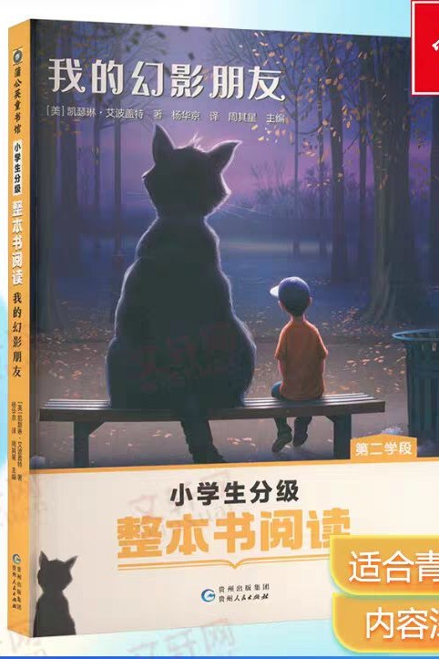 我的幻影朋友