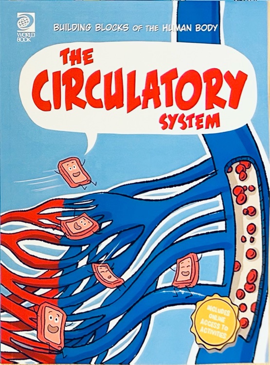 The Circulatory System