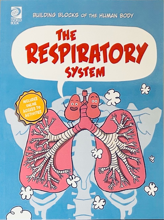 The Respiratory System