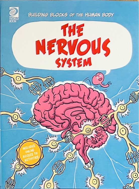 The Nervous System