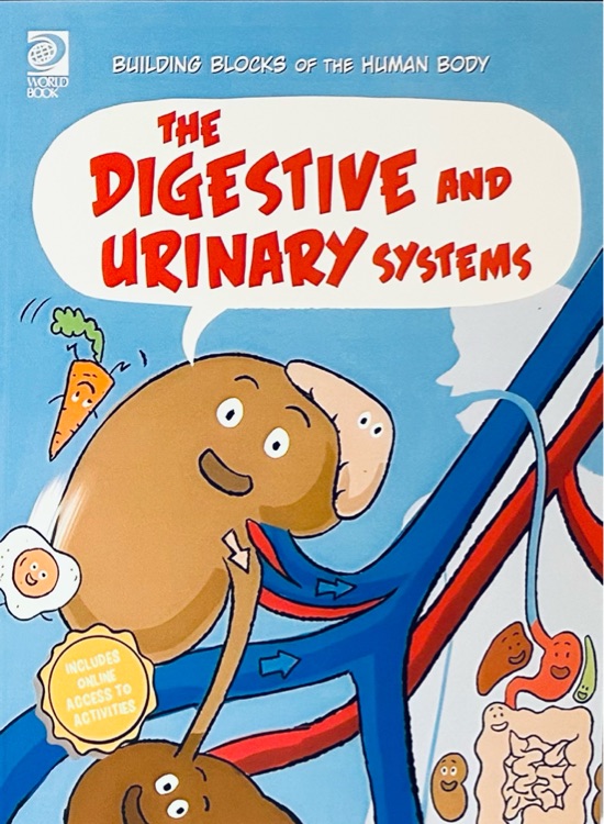 Digestive and Urinary Systems