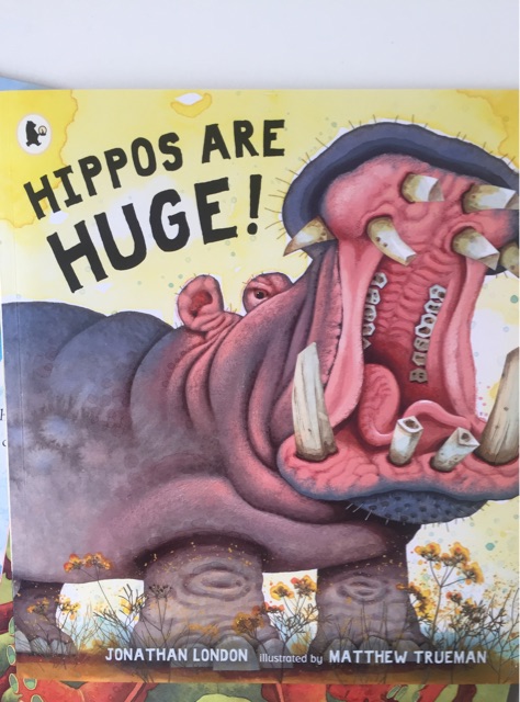 HIPPO ARE HUGE