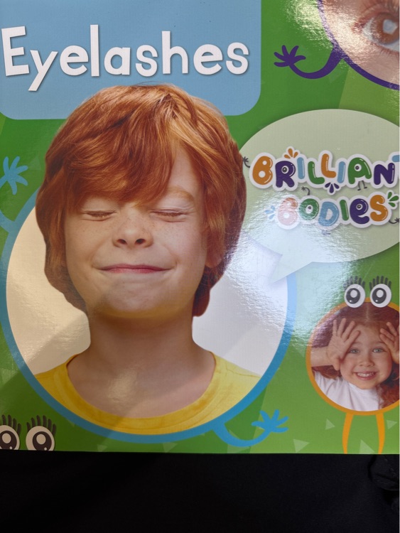 Eyelashes
