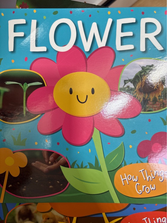 Flower