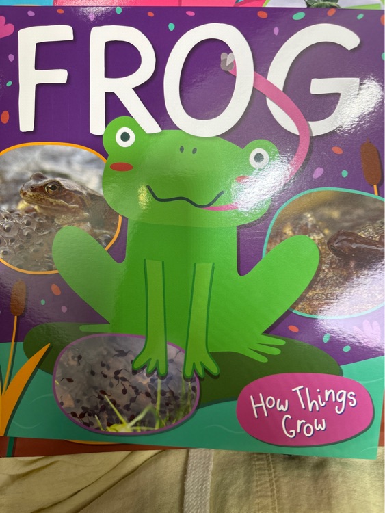 Frog