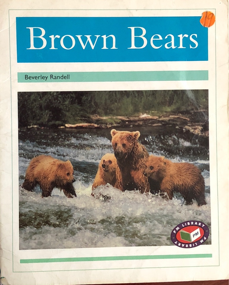 Brown Bears PM Non Fiction Animal Facts Level 18&19 Animals in the Wild Turquoise