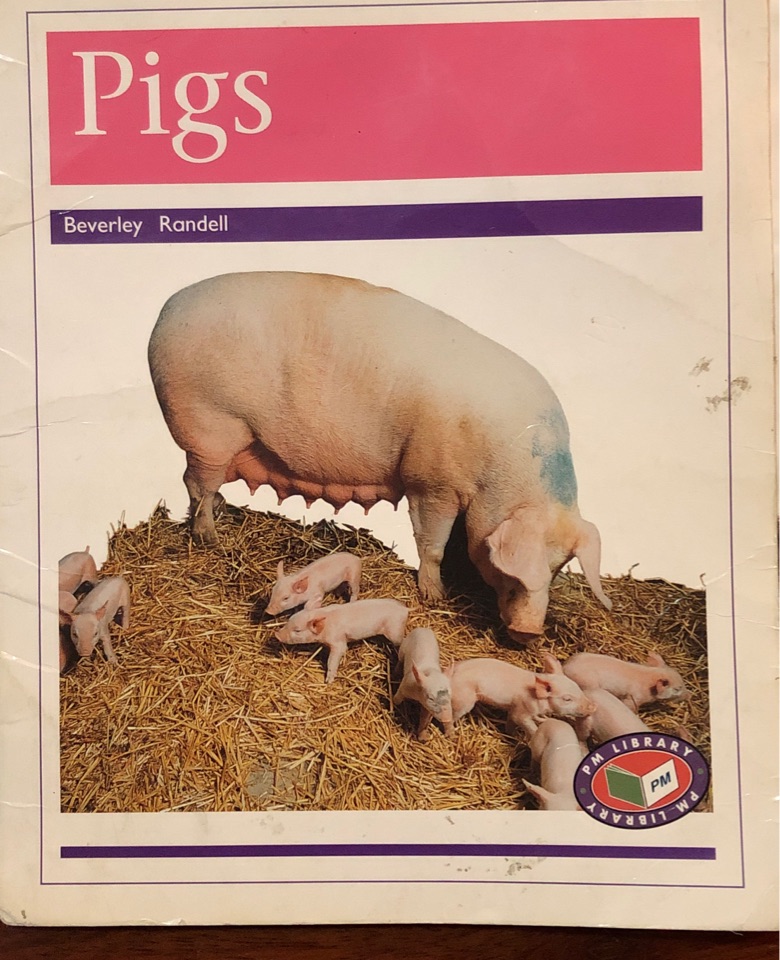 Pigs PM Non Fiction Animal Facts 20&21 Farm Animals Purple