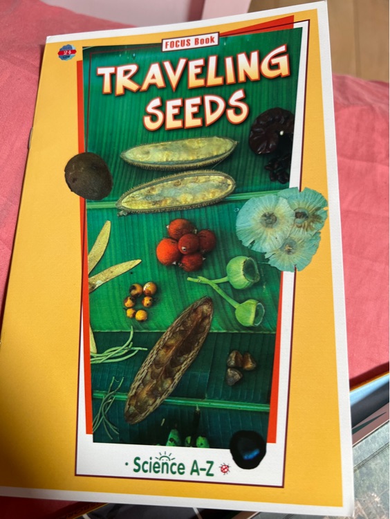 TARVELING SEEDS