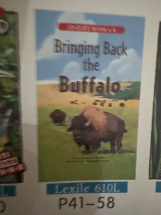 Bringing back the buffalo